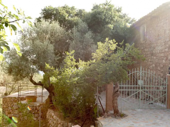 Camino de acceso a la propiedad