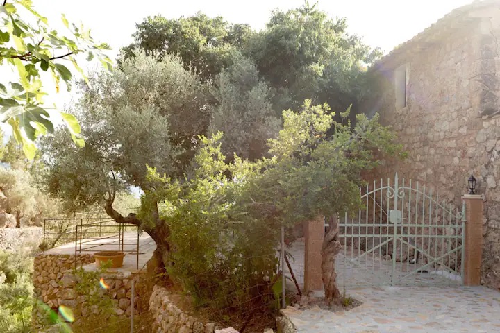 Camino de acceso a la propiedad