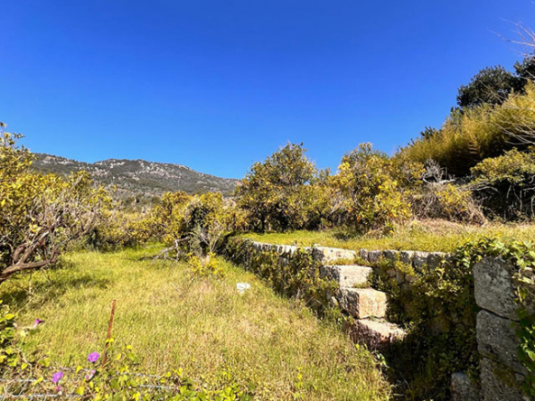 Vista panorámica del valle de Sóller desde la propiedad