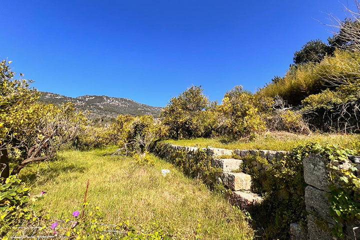 Vista panorámica del valle de Sóller desde la propiedad