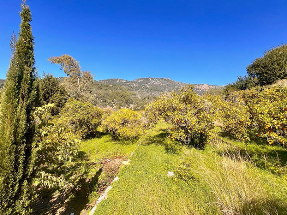Exteriores de Cas Patrolau rodeados de naturaleza