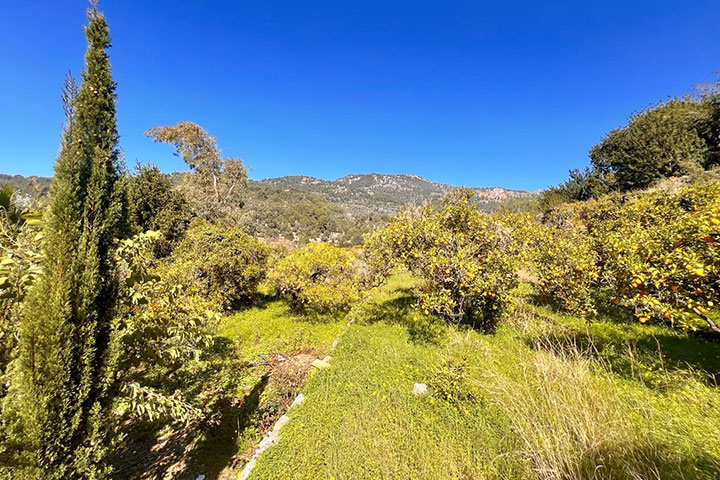 Exteriores de Cas Patrolau rodeados de naturaleza