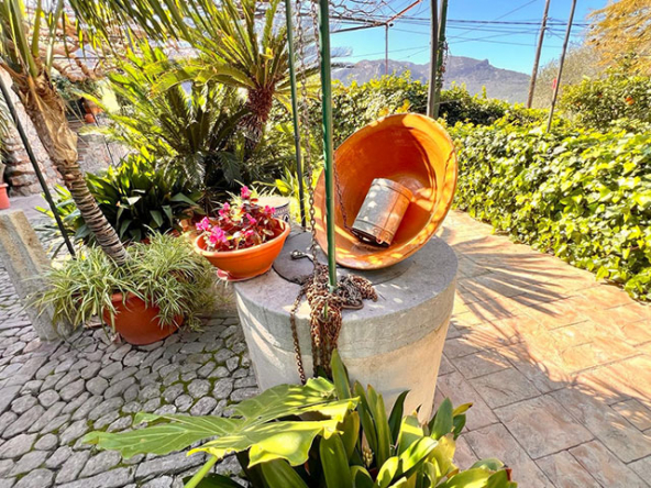 Zonas ajardinadas con árboles frutales