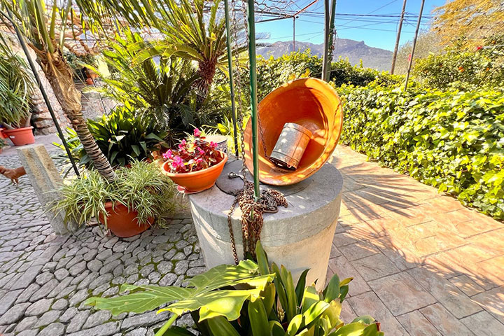 Zonas ajardinadas con árboles frutales