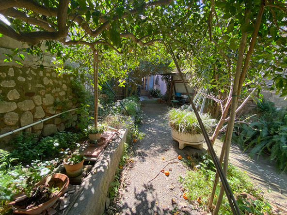 Terraza exterior con vistas al jardín
