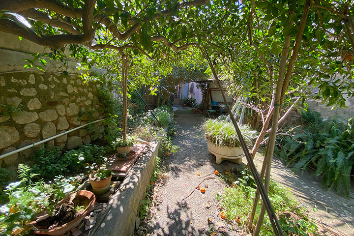 Terraza exterior con vistas al jardín