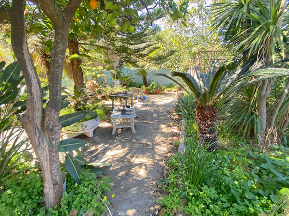 Jardín con árboles frutales y vistas despejadas