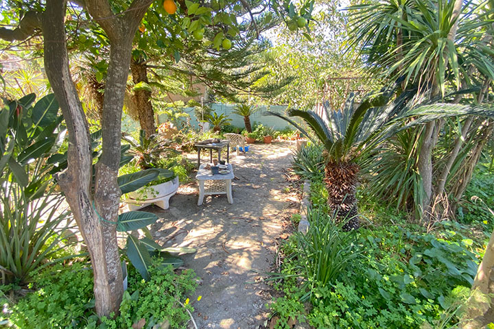 Jardín con árboles frutales y vistas despejadas