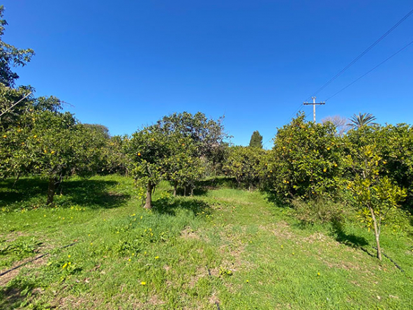 Vistas despejadas desde el fondo del jardín