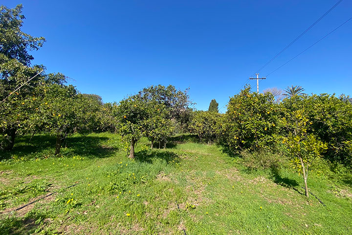 Vistas despejadas desde el fondo del jardín