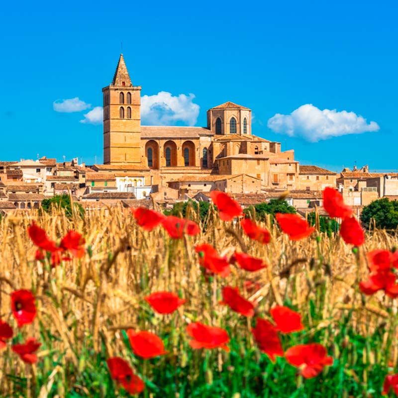 El corazón de Mallorca: Sineu, Alaró, Binissalem y Santa Maria - Arrels Real Estate