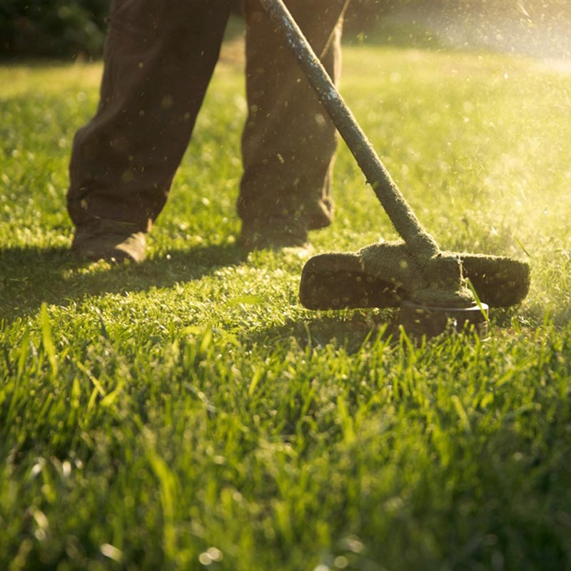 Servicio de mantenimiento y entorno de Arrels Real Estate